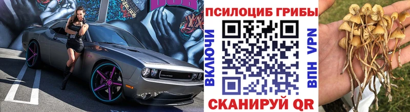 Галлюциногенные грибы ЛСД где купить наркоту Ленинградская